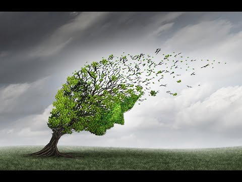 Wenn die Kinderseele weint - Einführung in die Traumapädagogik