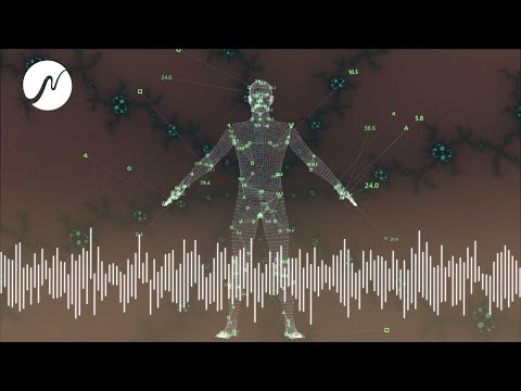 Optimierung des Omega-6-Fettsäurespiegels - gesunde Haut, Hormonregulation Entzündungsreaktionen