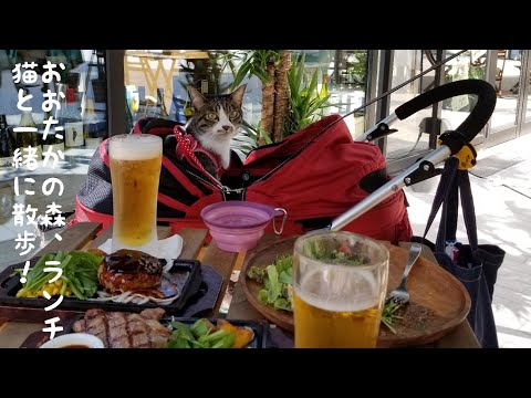 猫とお散歩ランチ☀️🍴