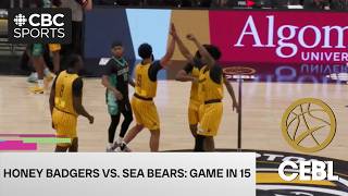 Brampton Honey Badgers vs Winnipeg Sea Bears: Condensed CEBL Game #basketball