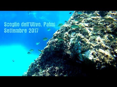 Scoglio dell'Ulivo - Settembre 2017 -  Ulivarella di Palmi (RC)