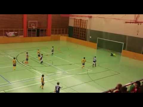 Nikola Gvozdenovic & FK Austria Wien