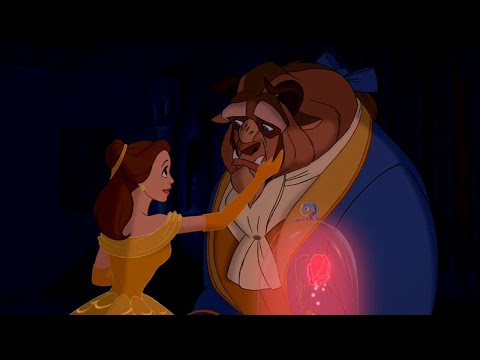 JY CINEMASHUP - Beauty and The Meat