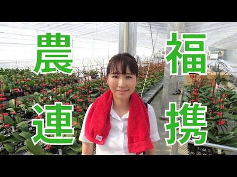 国際関係学科 【農福連携】障がい者雇用に取り組む我孫子農場を視察！
