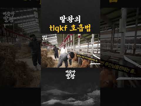 말왕의 tlqkf 호흡법