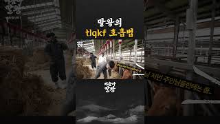 말왕의 tlqkf 호흡법