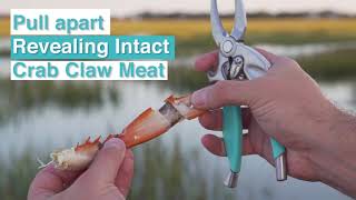 Toadfish Kitchen | How To Use Crab Claw Cutter