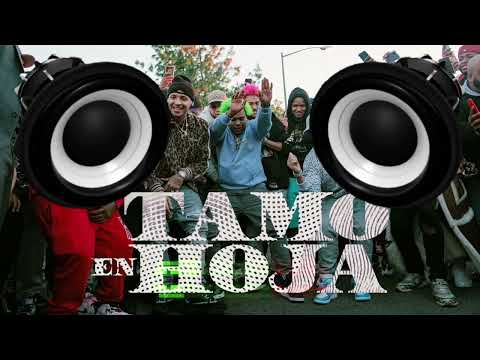 El Alfa -El Jefe- x Dowba Montana x MarkB - Tamo En Hoja (Extreme Bass Boosted)