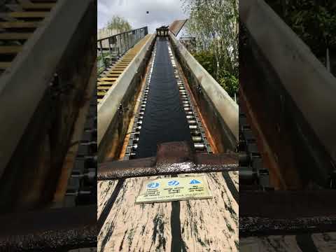 Tiger Rock Front seat POV at Chessington world of adventures resort