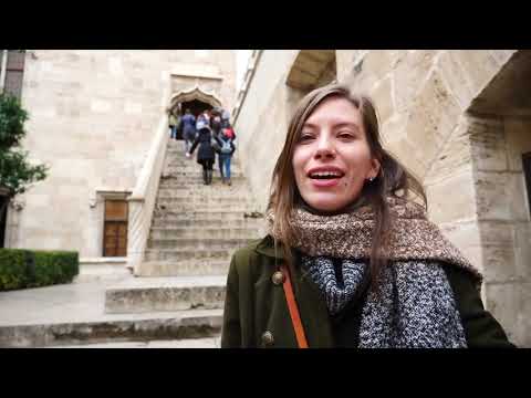 Vitamin A2 - Unit 4 / Basic Vitamin - Unit 12