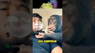 Ranking Best Chimpanzee Moments