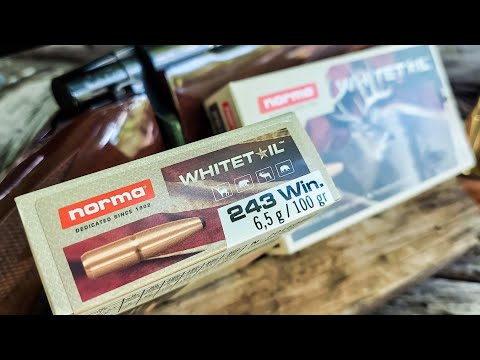 Norma Whitetail .243 Win | 100 Yard Group Test