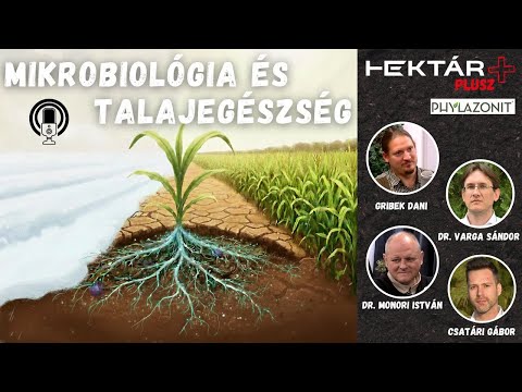 Láthatatlan segítség az aszályban: a mikrobiológia és a talajegészség - Phylazonit a HEKTÁR Pluszban