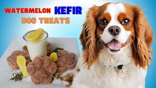 🍉 Easy Frozen Watermelon Kefir Dog Treats: Gut-Happy Probiotics for Cavaliers & Dogs! 🐶