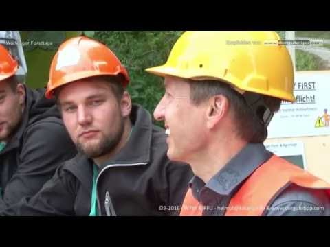 Der gute Tipp: Besucher sind begeistert