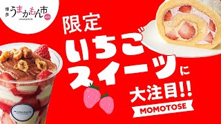 【密着】第41回 博多うまかもん市 モモトセに限定スイーツを作ってもらった！