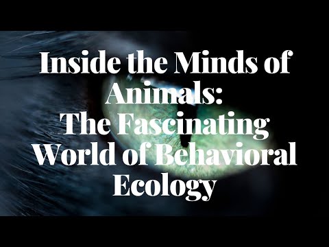Inside the Minds of Animals | The Fascinating World of Behavioral Ecology