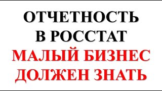 Штрафы 150 000 руб. за СТАТОТЧЕТНОСТЬ | Статистическая отчетность и БИЗНЕС | Предприниматель ИП ООО