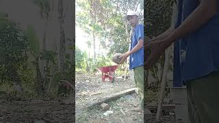 Download lagu jangan ditiru di rumah adegan berbahaya 🙅🫢 #trending #kelapa mp3