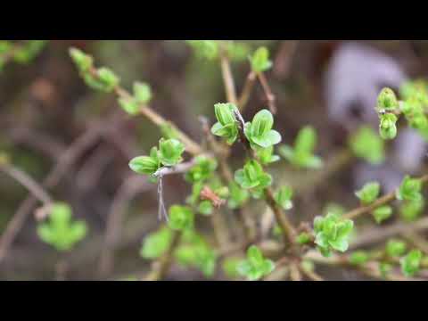 2am - juicebox caviar & Robocatpat