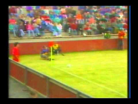 1993 (June 6) faroe Islands 0-Wales 3 (World Cup Qualifier).avi