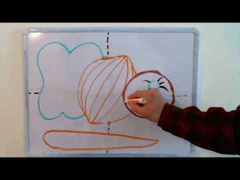 Drawing a Still Life