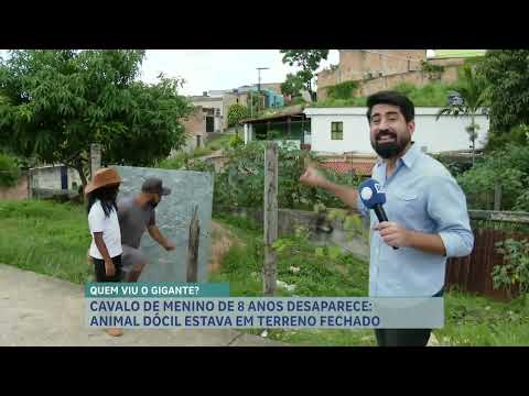 Quem viu o Gigante? Família procura por cavalo desaparecido em Ribeirão das Neves (MG)
