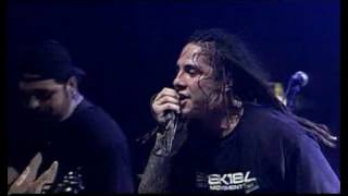 P O D    Live@Grünspan Hamburg   09   Without Jah, nothin&#39; CUiG JiC