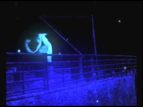 Robin Gibb - Don't cry alone...