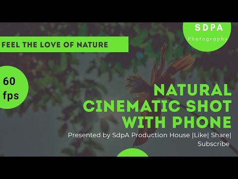 Feel The Love Of Nature | 60 Fps | Cinematic Shot with Smartphone | Flowers 🌸 🌹 | Nature 💚