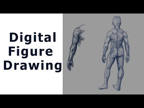 figure drawing - figure drawing lessons 2/8 - drawing human proportions digital figure drawing