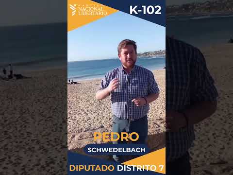 #PedroesLaVoz vota #k102 #elquisco #viñadelmar #valparaiso K102 #PedroesLaVoz