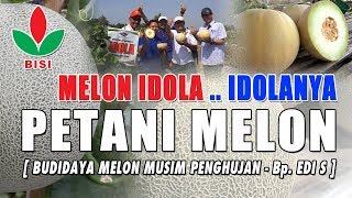 Download lagu BISI Sahabat Petani : Budidaya Melon IDOLA Musim Penghujan mp3 Download lagu BISI Sahabat Petani : Budidaya Melon IDOLA Musim Penghujan mp3