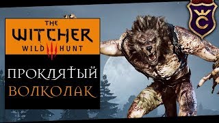 Тайна Деревенского Волколака ∎ The Witcher 3 (Ведьмак 3) #11