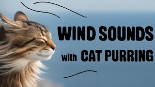 Relaxing with Kitten Purring and Wind Sounds for Sleeping or Stress Relief