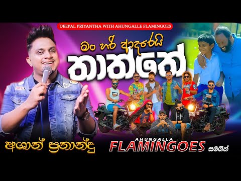 Thaththe (මං හරි ආදරෙයි තාත්තේ) Ashan Fernando | Ahungalla Flamingoes