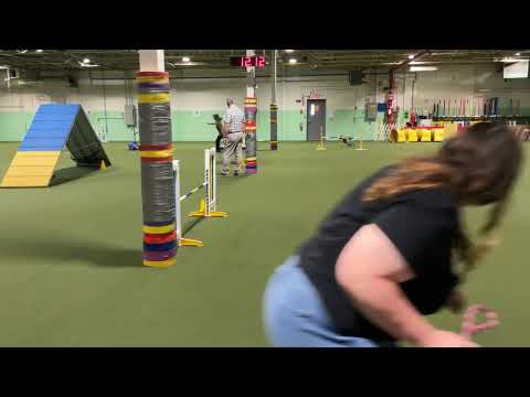 May 18, 2025, Fizz in Open Std where DW was running into a corner