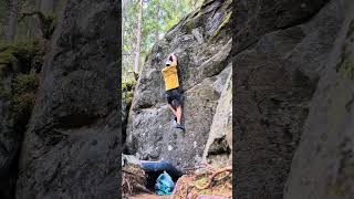 Video thumbnail de Survival of the Fittest, 6c+. Magic Wood