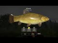 Фото Russian Fishing 4 RF4 Old Burg Lake Trophy Tench Spot