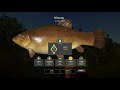 Фото Russian Fishing 4 RF4 Old Burg Lake Trophy Tench Spot