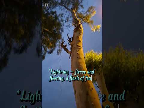 Lightning: A Fearsome Flash, A Beacon of Hope