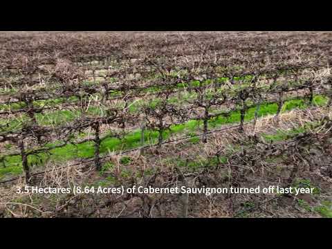 Lot 453 Chowilla Street, Renmark, SA 5341, 0 ਕਮਰੇ, 0 ਬਾਥਰੂਮ, Lifestyle Property