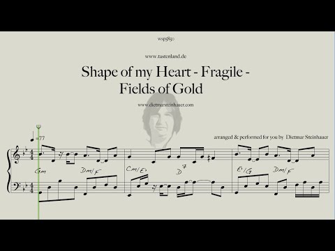 Shape of my Heart - Fragile - Fields of Gold