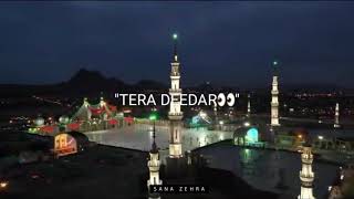 Chale Aao aye Ibn E Mushkil Kusha || Mesum Abbas
