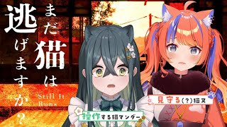 〚 まだ猫は逃げますか？ 〛いいにゃんにゃんの日🐈 猫になっちゃうぞ～〚 十河ののは ＆ 猫屋敷美紅 / にじさんじ 〛