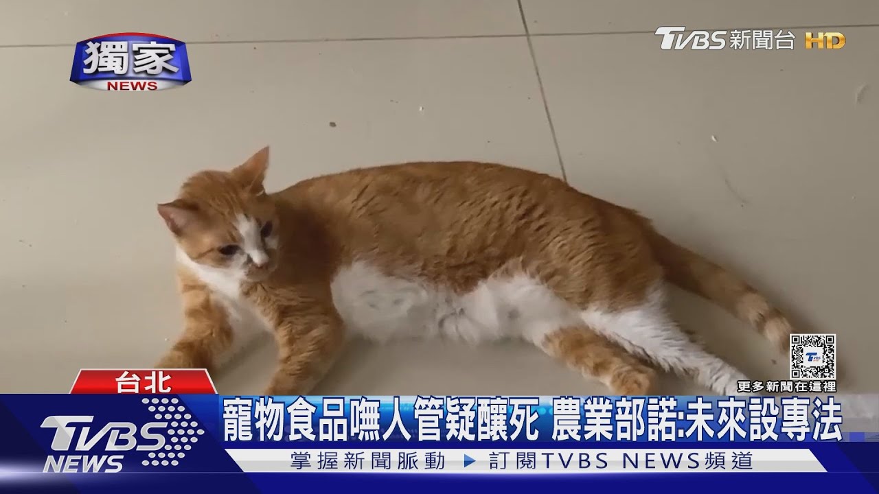 延燒3個月 飼料疑釀「200貓低血鉀+逾20亡」
