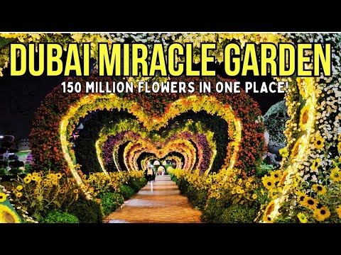 DUBAI MIRACLE GARDEN 2025 - WORLD'S LARGEST FLOWER GARDEN 🇦🇪