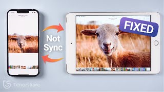 iPad and iPhone not Syncing, Here is the Fix！