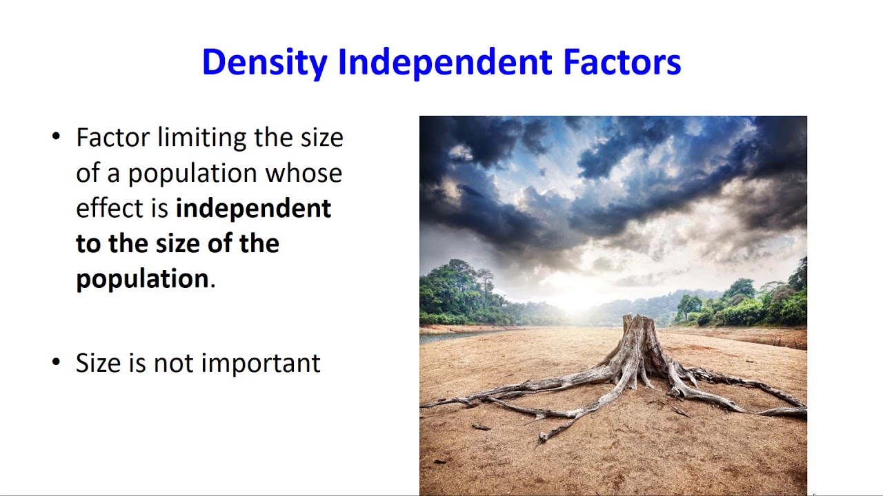 Population Density Factors