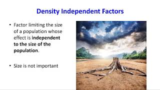 Population Density Factors